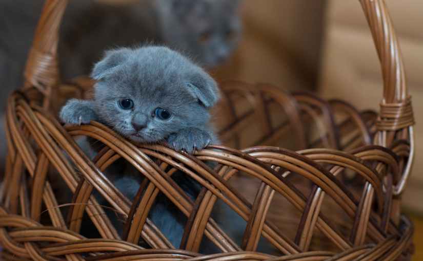 Heartbreak … it’s like an itch you can’t&nbsp;scratch